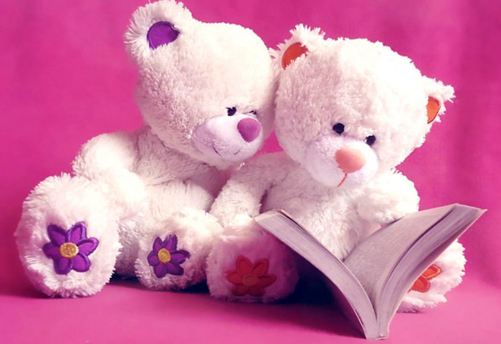 Express Your Love with a Teddy – The Perfect Gift!