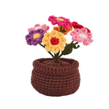 Bloom & Glow Gift Hamper