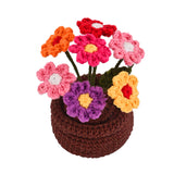Bloom & Glow Gift Hamper