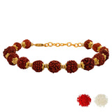 Rudraksh Rakhis Pack Of 1 Rakhi for Brother