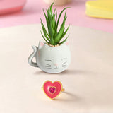 Pink Heart Ring With Blushing Cat Planter Combo