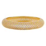 Gold Elegance Sunehri Noor Cz Bangles