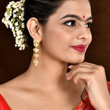 Aradhana Anishi Long Earrings