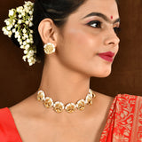 Aradhana Damini Necklace Set