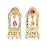 Shahi Dwar Hada Rani Choker Necklace Set