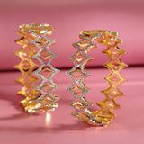 Shahi Dwar Ruhani Hinge Bangle