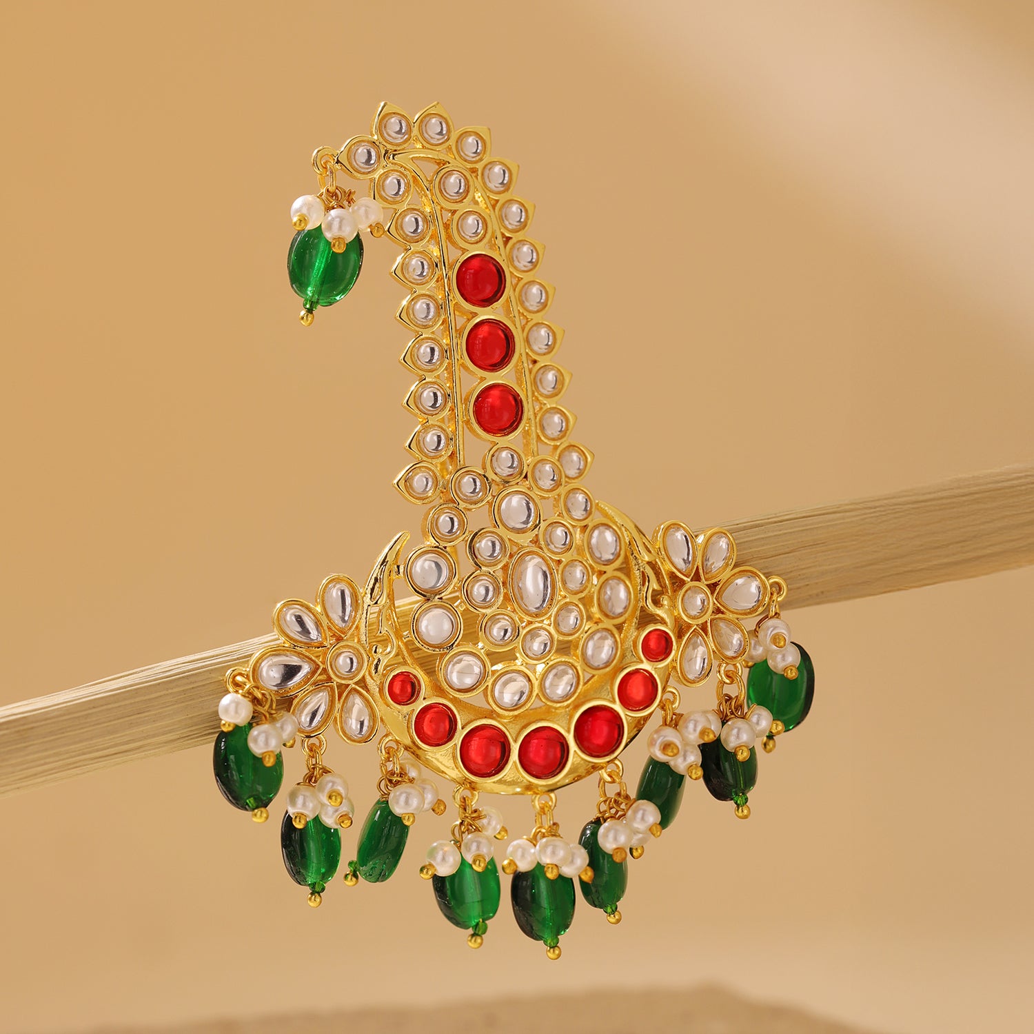 Kings of Rajasthan Suryaansh Kalangi