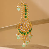 Kings of Rajasthan Haritansh Kalangi