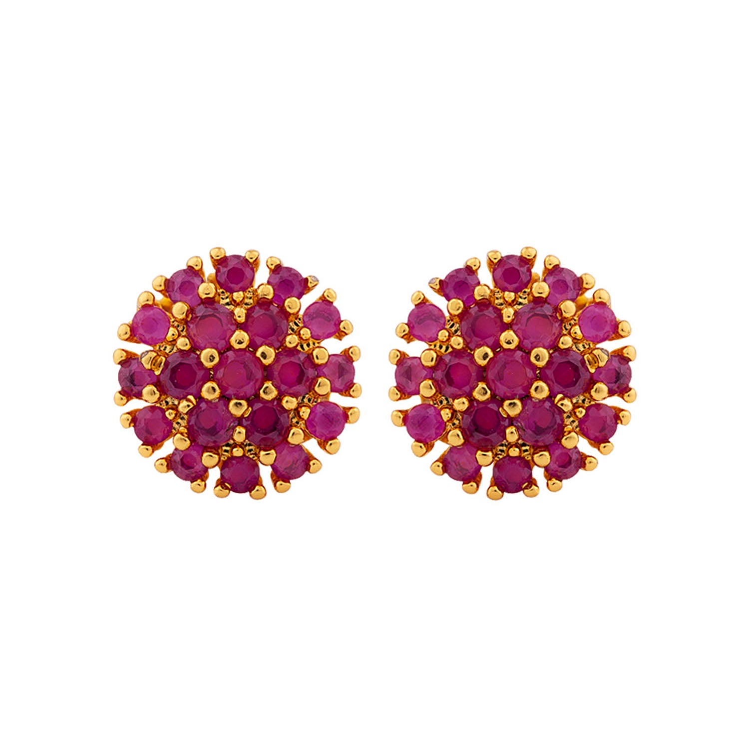 Red Gemstones Adorned Earrings
