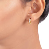 Gemstones Embellished Stud Earrings