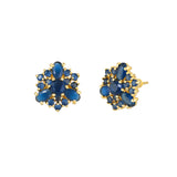 Blue Cluster Setting CZ Floral Stud Earrings