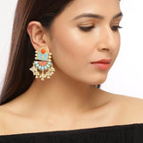 Neeladri Heavily Embellished Earrings