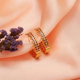 Trendy Hoops Gold Plated Brass Earrings