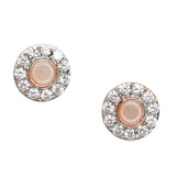 Gorgeous Rose Gold Pearly Whites Earrings