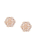Shimmering Floret American Diamond CZ Gold Plated Brass Silver Stud Earrings